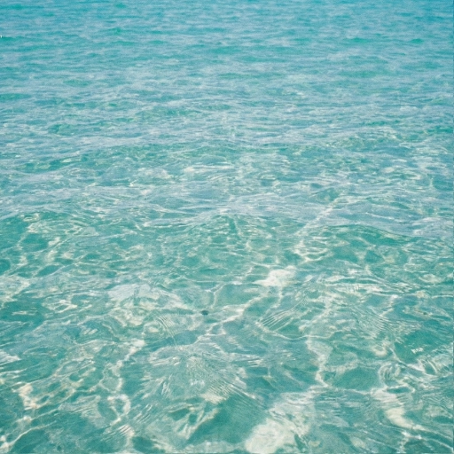 スイムコーチリョウ